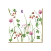 Paquet de 20 serviettes EN PLEIN AIR