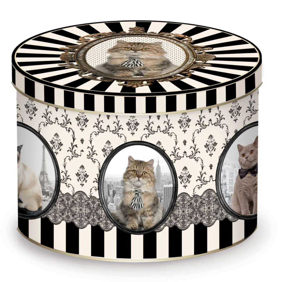 Tasse en porcelaine dans une boîte en fer-blanc BAROCCO CATS VersC